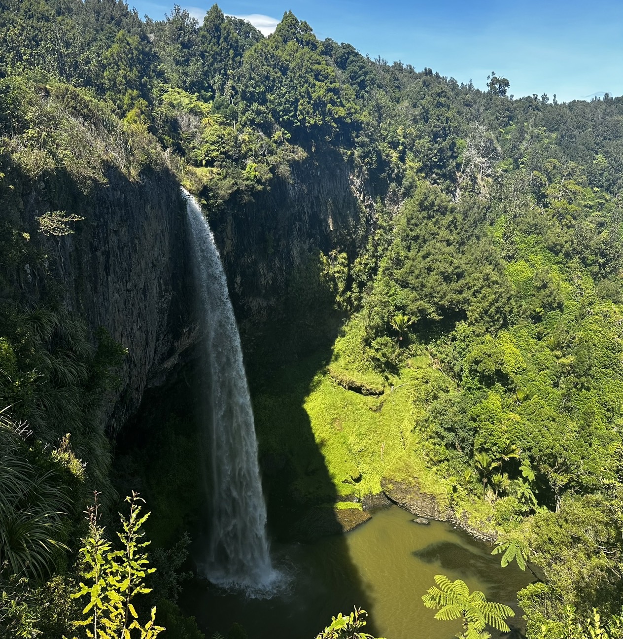 同じ島国、異なる文化