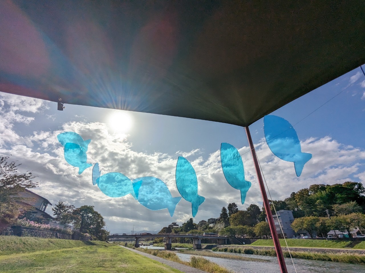 観光デザイン学類での4年間を振り返って